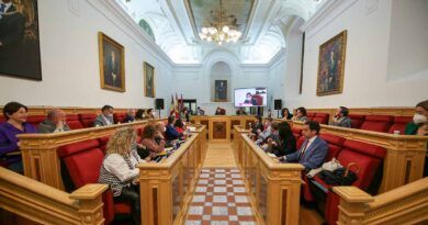 El Pleno municipal de Toledo aprueba por unanimidad medidas para mejorar la accesibilidad