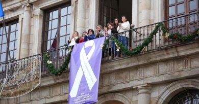 El Ayuntamiento de Toledo despliega el lazo del Día Internacional de la Eliminación de la Violencia contra la Mujer.