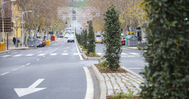 renovación paisajística Avenida de la Reconquista