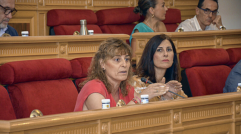 Ana Abellán Pleno del Ayuntamiento de Toledo sobre la Concejalía de Igualdad