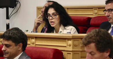 Marisol Illescas interviene en el pleno municipal sobre la violencia de género