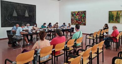 El Ayuntamiento de Toledo convoca los Consejos de Participación Ciudadana para su constitución. Se celebrarán el lunes 18 y el martes 19 de septiembre.