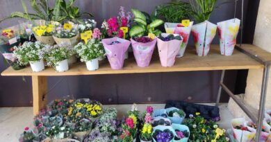 consorcio mercado de flores 2