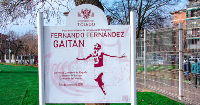 Fernández Gaitán