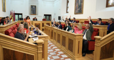 El Pleno aprueba solicitar más efectivos de la Policía Nacional en Toledo ante el incremento de delitos