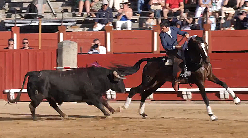 Rejoneo Feria de Toledo