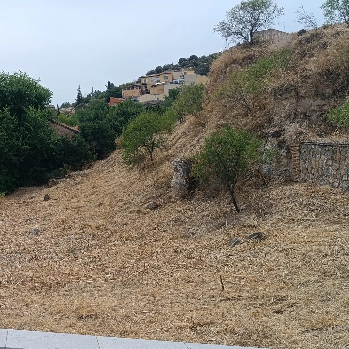 Foto ARBA TOLEDO 6