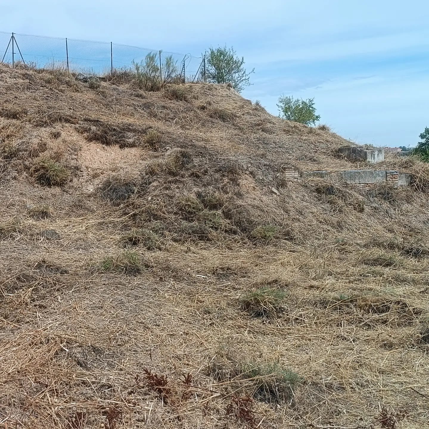 Foto ARBA TOLEDO 7