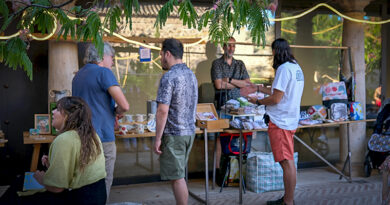 Mercado de Artesanía Jardín de San Lucas