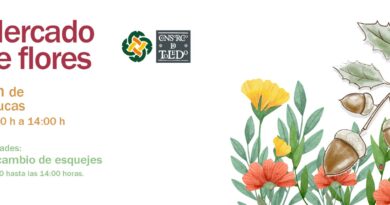 El Mercado de Flores regresa al Jardín de San Lucas y las Jornadas de Música y Patrimonio continúan este fin de semana