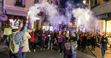 Manifestantes con pancartas moradas en la marcha del 25N en Toledo.