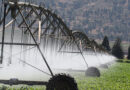 Internet de las cosas permite reducir hasta un 50% el consumo de agua en el riego agrícola