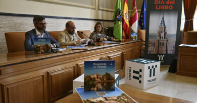 Diputación y Plena Inclusión presentan la «Guía fácil provincia Toledo» para acercar el patrimonio a todos