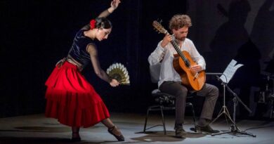 I Jornadas de la Danza en el Salón Rico