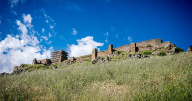 Castillo de Peñas Negras