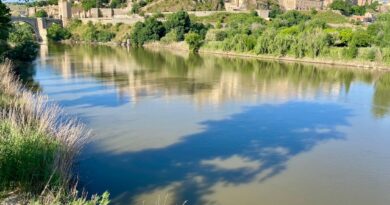 El PSOE exige al alcalde explicaciones de Ayuso por la contaminación del Tajo