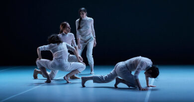 Compañía Daniel Abreu presentando la danza VAV en el Teatro de Rojas Toledo. ©-marcosGpunto