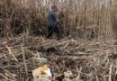 Toledo solicita a la Confederación Hidrográfica del Tajo la limpieza urgente de las riberas del río