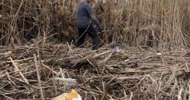Toledo solicita a la Confederación Hidrográfica del Tajo la limpieza urgente de las riberas del río