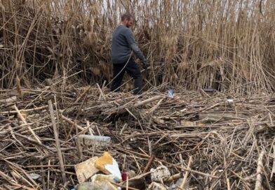 Toledo solicita a la Confederación Hidrográfica del Tajo la limpieza urgente de las riberas del río