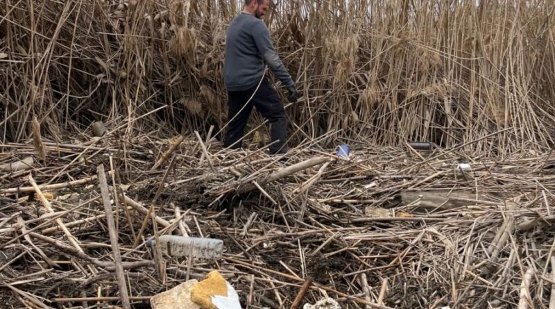 Toledo solicita a la Confederación Hidrográfica del Tajo la limpieza urgente de las riberas del río