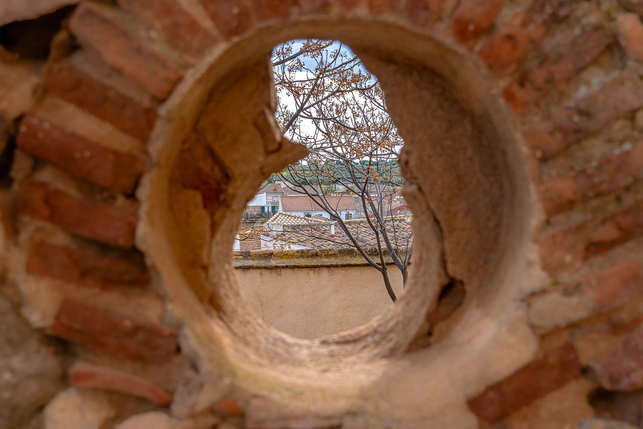 Castillo de Guadamur 2025 – 027