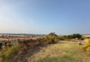El Ayuntamiento limpia y desbroza la zona afectada por el incendio en La Legua