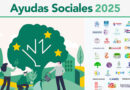 GRÁFICA AYUDAS SOCIALES 2025