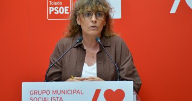 Los socialistas piden dotar al sistema VioGén de presupuesto y personal para garantizar su eficacia 