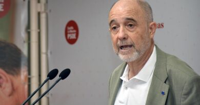 El PSOE denuncia la inacción del alcalde ante las viviendas turísticas y su política de tala masiva de árboles en Toledo
