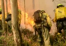 Bomberos forestales durante las labores de extinción de un incendio forestal