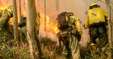 Bomberos forestales durante las labores de extinción de un incendio forestal