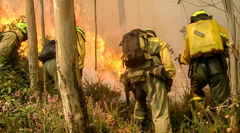 Bomberos forestales durante las labores de extinción de un incendio forestal