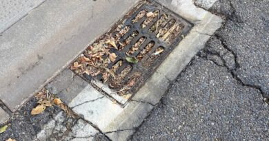 El PSOE reclama la limpieza urgente de los imbornales en Toledo y alerta de su mal estado antes de la llegada de las lluvias