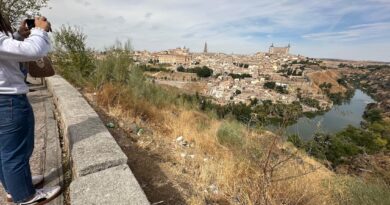 El PSOE reclama la convocatoria del Consejo de Medio Ambiente ante el abandono del Valle