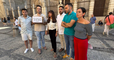 Guías de Turismo de Toledo_autónomos_pequeñas_empresas