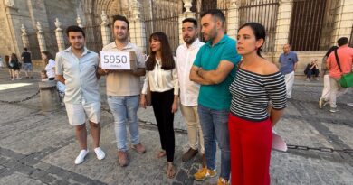 Cerca de 6.000 firmas en apoyo a los guías de turismo de Toledo frente a la nueva ordenanza municipal
