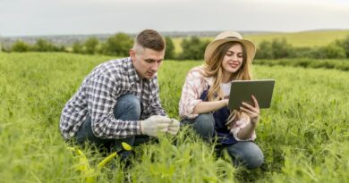 El Internet de las cosas ayuda a reducir un 30% los cortes de comunicación en zonas rurales españolas