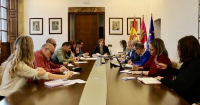 Primer mapa del amianto en Toledo para planificar su retirada en toda la ciudad