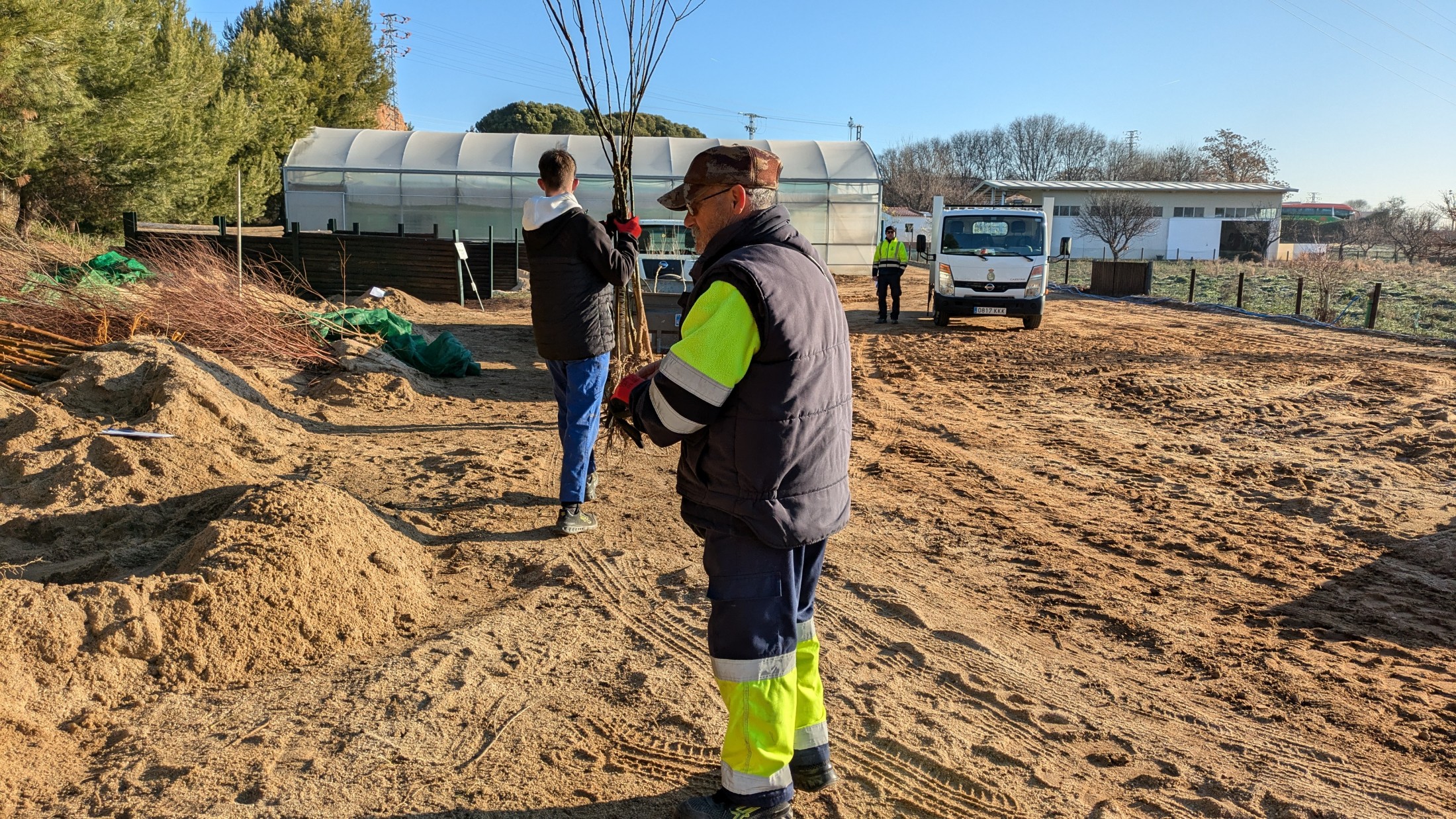 09bec 08022026 diputacion reparte mas de 25.000 arboles y arbustos a los municipios toledanos 1