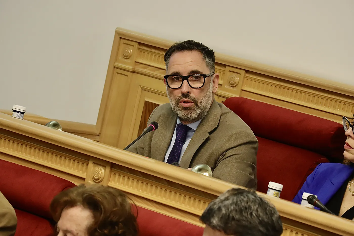 Pleno ferroviario 2 copia