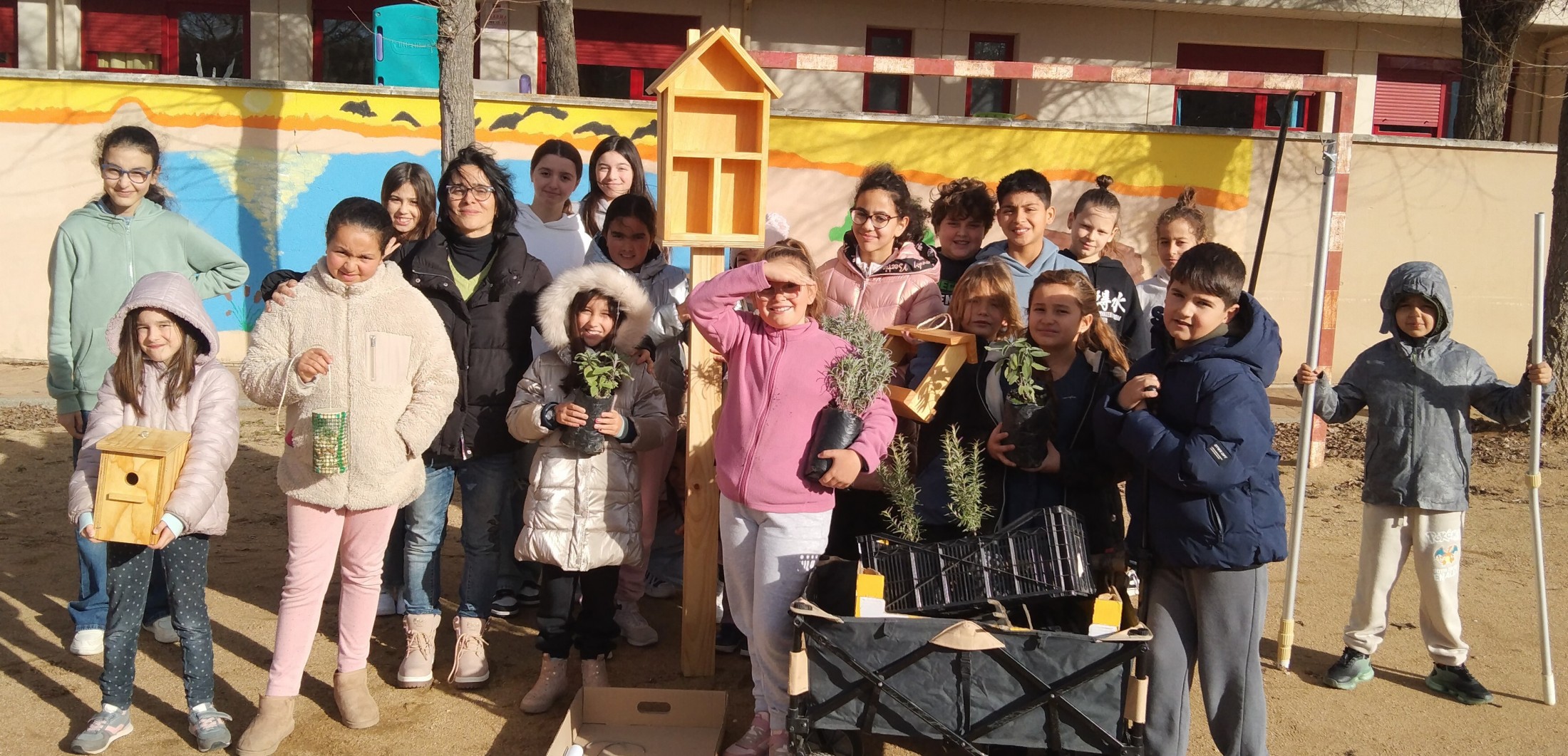 patios vivos patios vivos