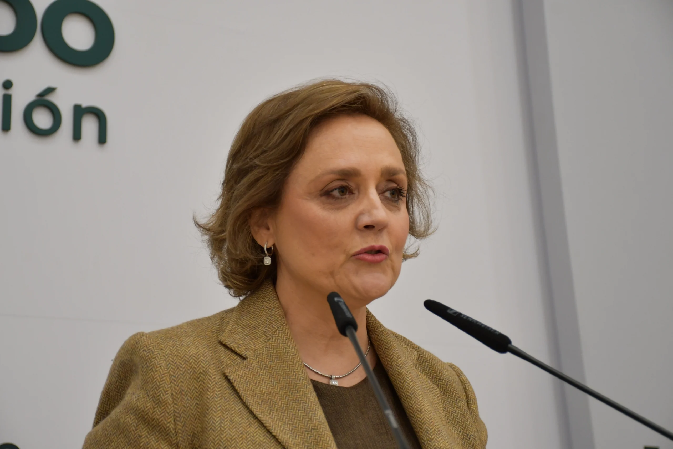 Soledad de Frutos en la rueda de prensa