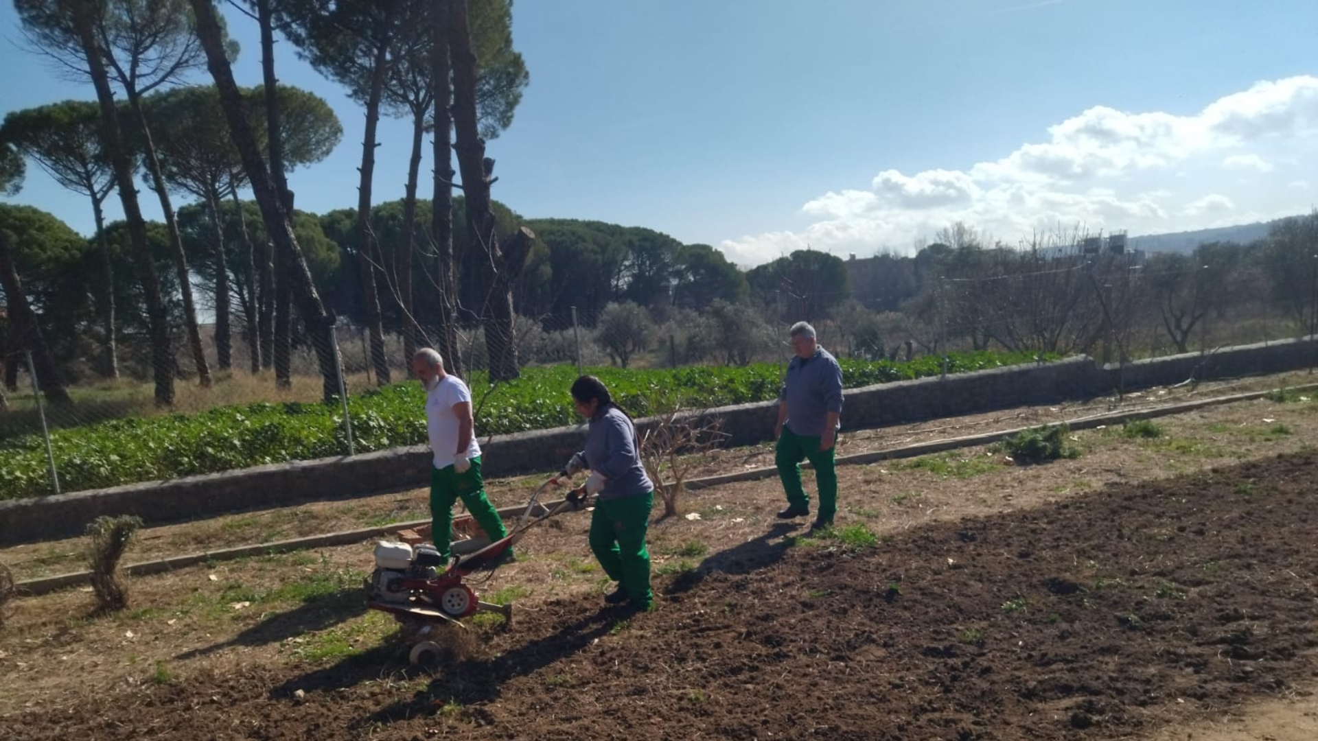 curso empleo cáritas toledo2