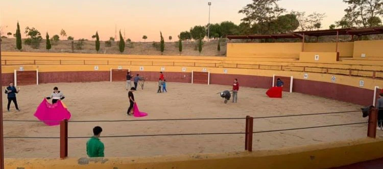 escuela taurina