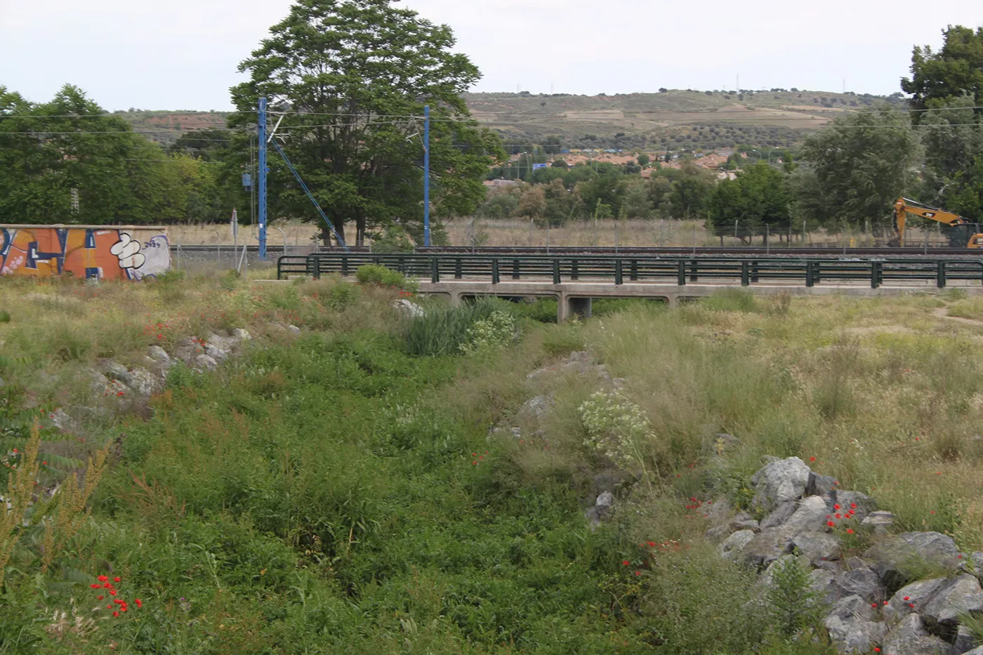 Arroyo de la Rosa comido por la vegetación Arroyo de la Rosa comido por la vegetación