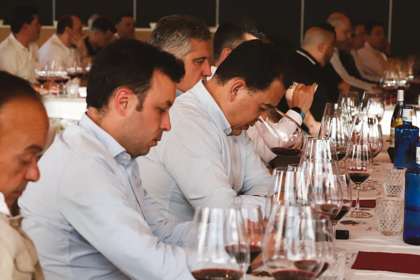 nueva era de Cepa 21 hacia tintos más elegantes